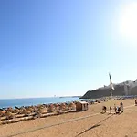 Natural Grey אלבופיירה