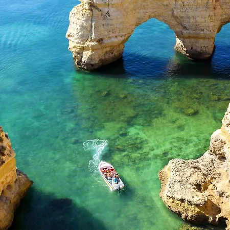 Apartment Natural Grey