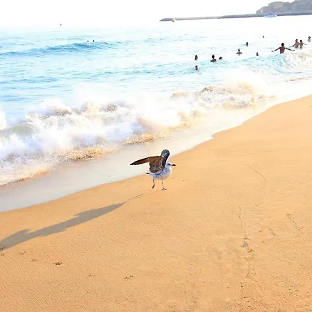 Natural Grey * البوفيرا