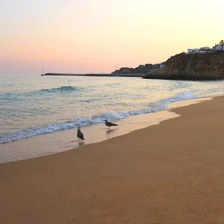 Natural Grey Apartment