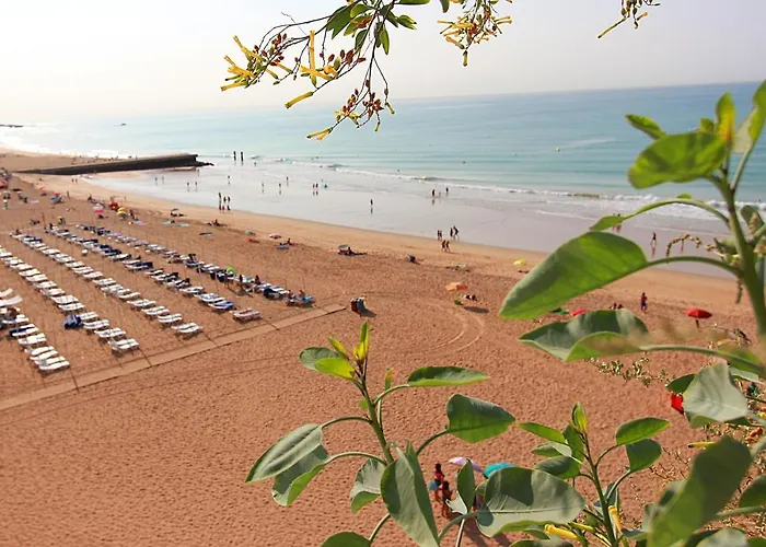 Natural Grey דירה