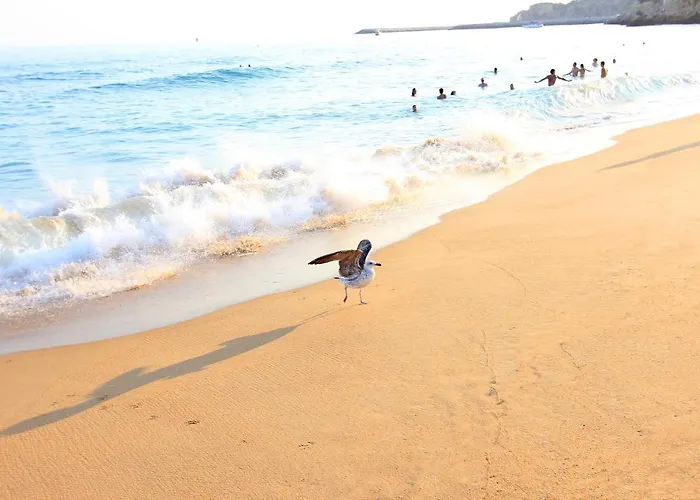 Natural Grey * אלבופיירה