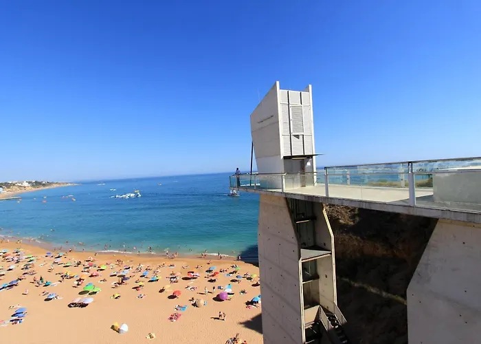 Natural Grey אלבופיירה