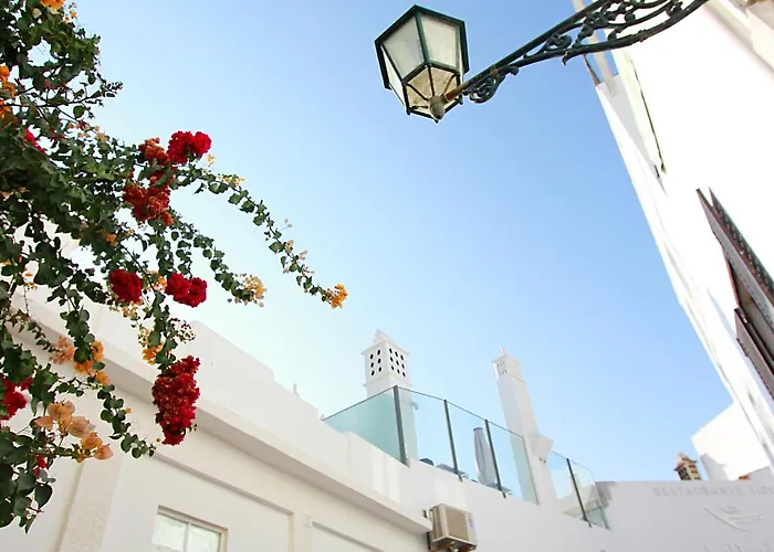 Natural Grey Daire *