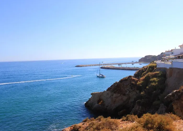 Natural Grey Daire *