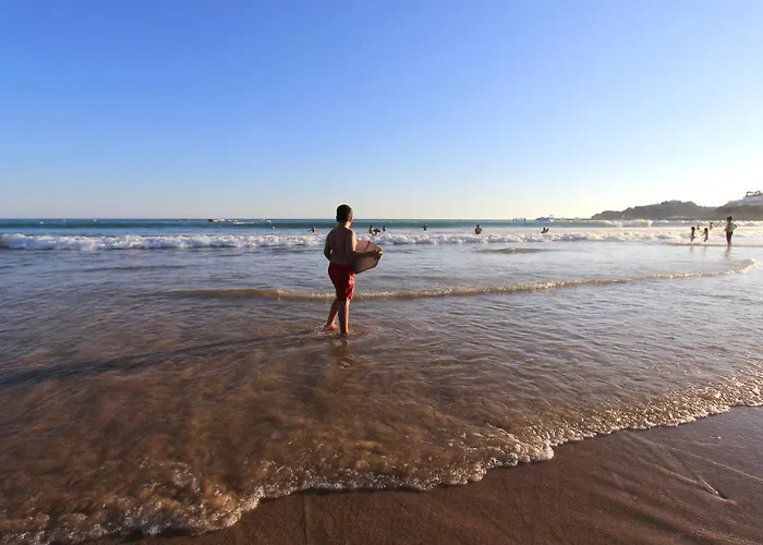 Natural Grey Daire *