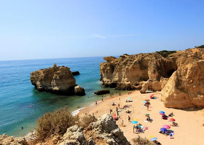 Natural Grey Daire *